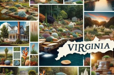 HOA-Compliant Virginia Xeriscape Designs: Landscaping Guide & Regulations