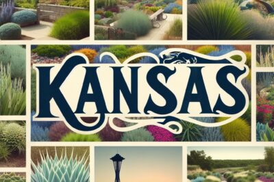 Kansas Yard Xeriscape Guide: HOA Rules & Local Regulations