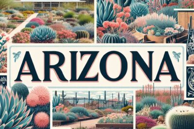 Arizona Xeriscaping Legality: Lawn Removal Rules & Garden Grants