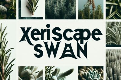 Rosemary Xeriscaping: Low-Water Gardening & Soil Adaptation Guide