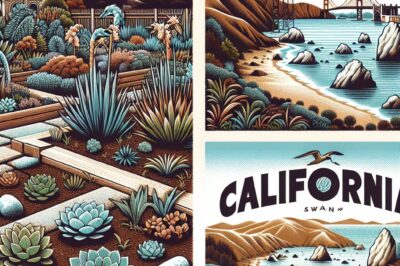 California HOA Xeriscaping Rules & Compliance Guide