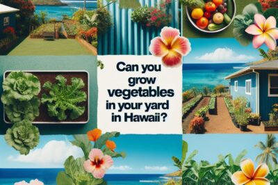 Hawaii Yard Farming: Is Growing Vegetables For Food Illegal?